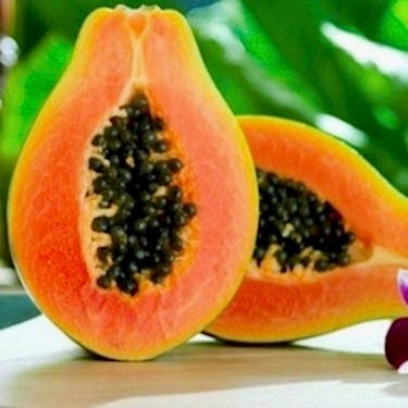 Papaya Fidanı ile Tropikal Meyve Keyfini Yaşayın - Hızlı Büyüyen Ağaç Kavunu