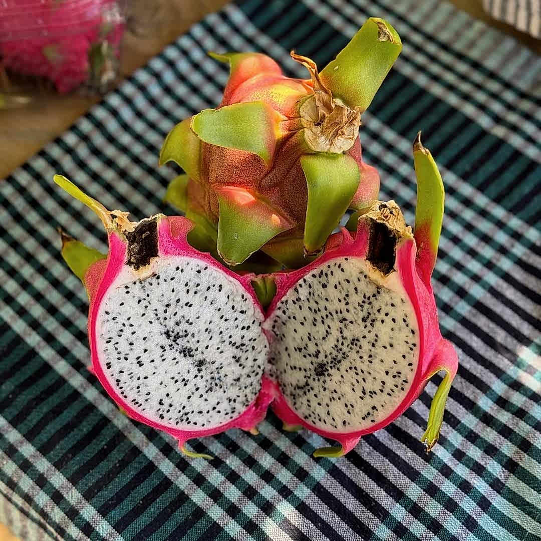 Sağlığınız İçin Doğal Beyaz Ejder Meyvesi (Pitaya) Satın Alın!